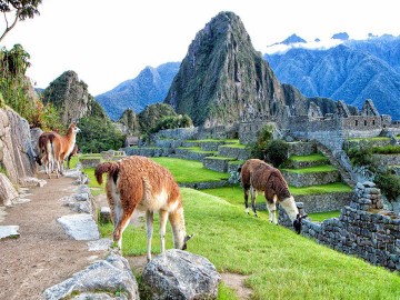 Machu Picchu Day Tour